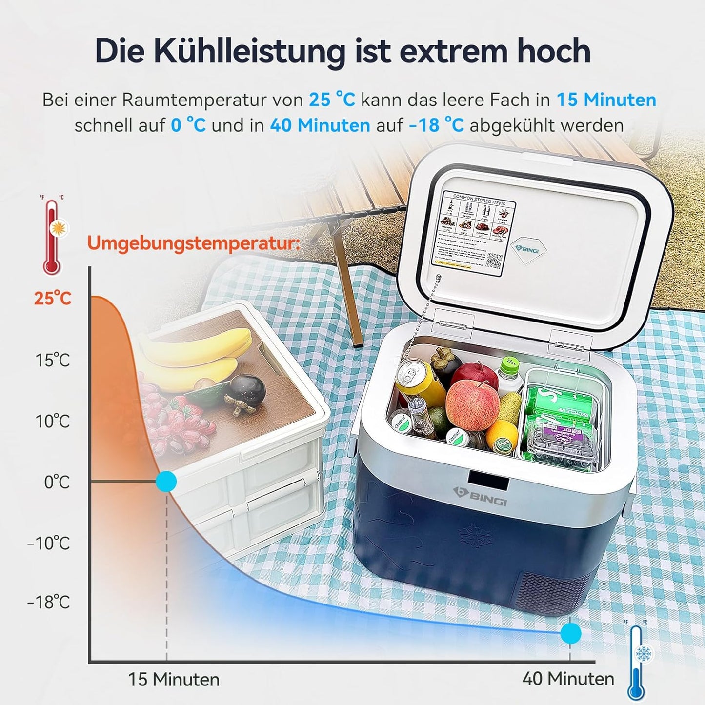 BINGI Kompressor Kühlbox 22L Mini Tragbarer Elektrischer Kühlschrank 12/24V DC Elektrischer Gefrierschrank Tragbarer Gefrierschrank für Auto LKW Picknick Camping und Heimgebrauch